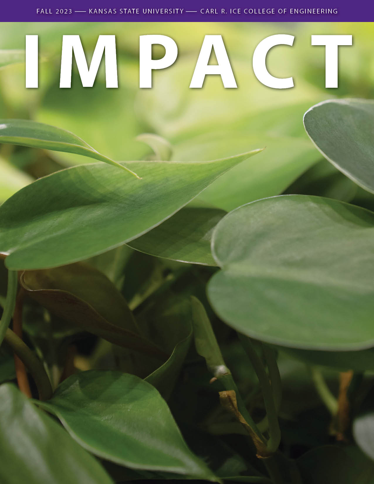 Cover of fall 2023 Impact magazine